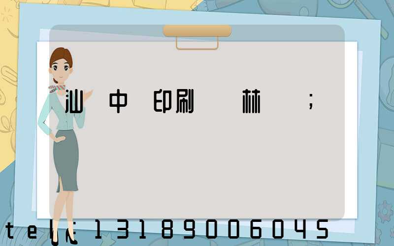 汕頭中興印刷廠 林偉國